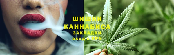 тгк Касимов
