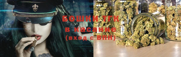 тгк Касимов