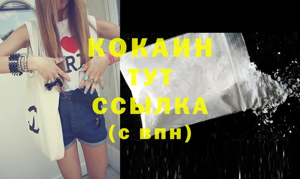 тгк Касимов