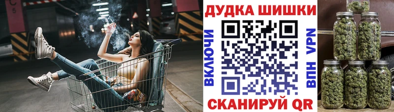 Купить  Ставрополь  Шишки марихуана план 